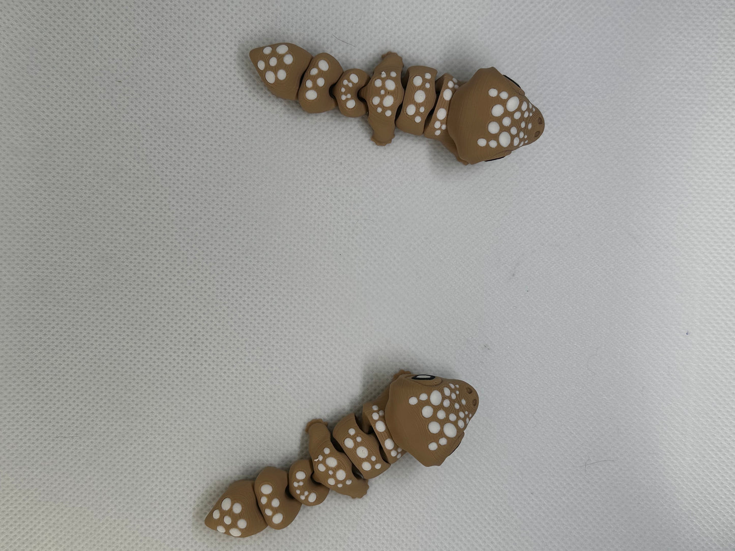 Toby The Tokay Gecko