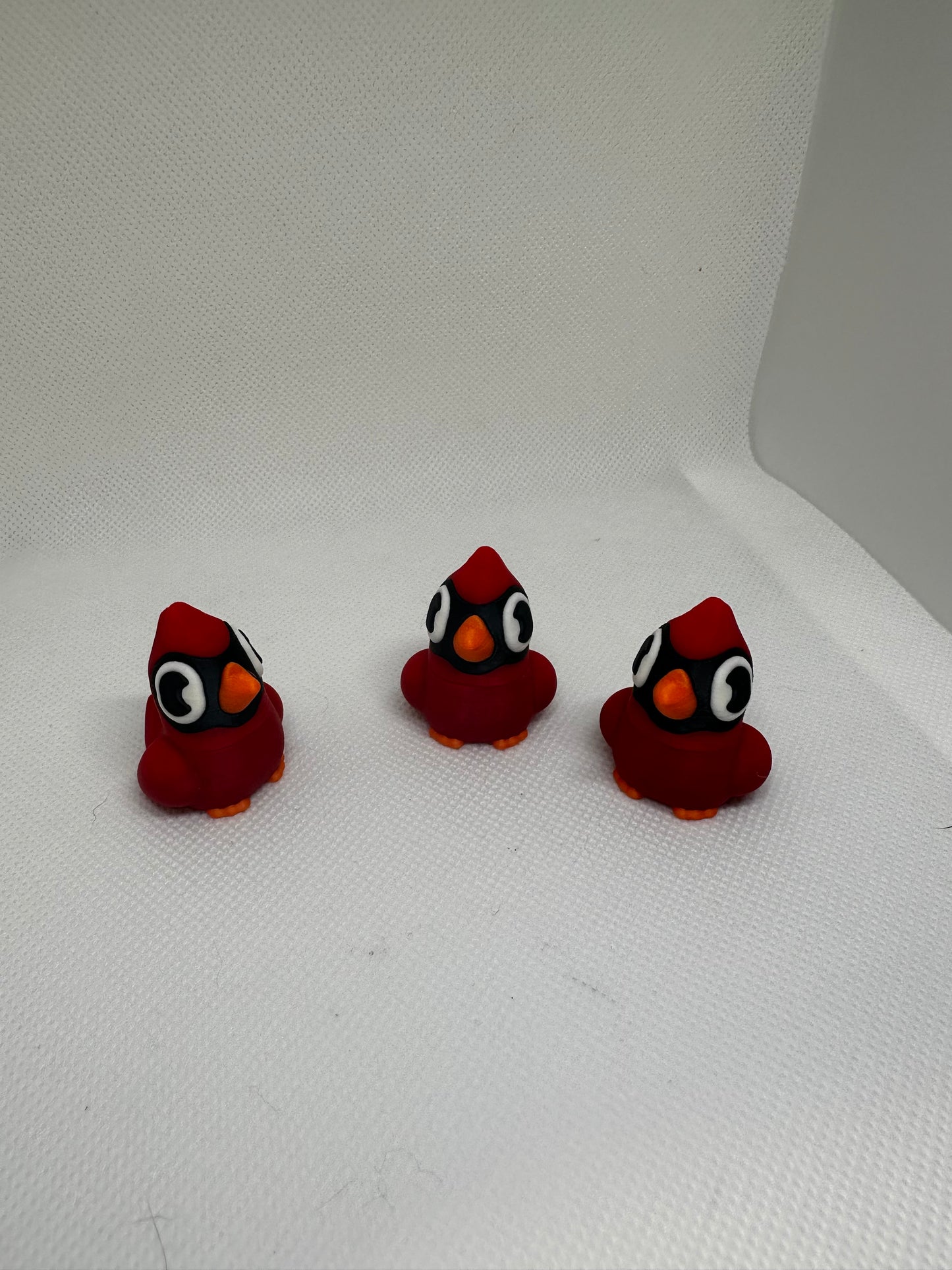 Carrie The Cardinal