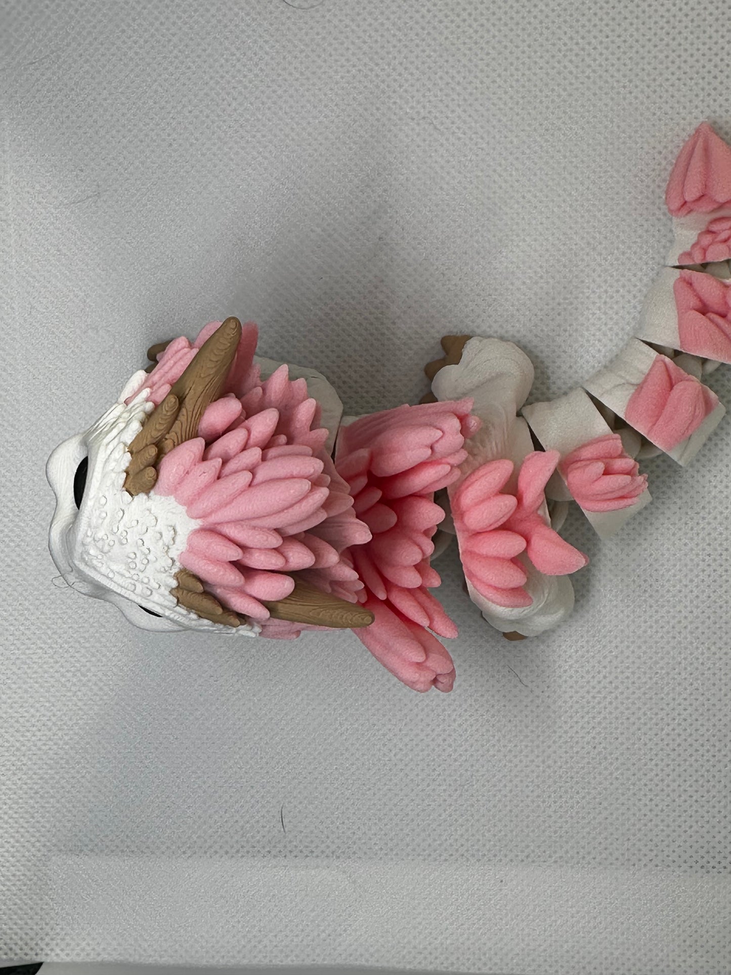 Chilli The Cherry Blossom Dragon